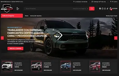 B&V Group Import S.A.C.