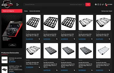 B&V Group Import S.A.C.